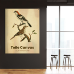 Toile canvas
