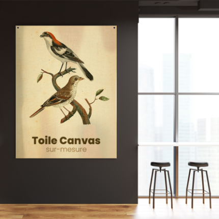 Toile canvas