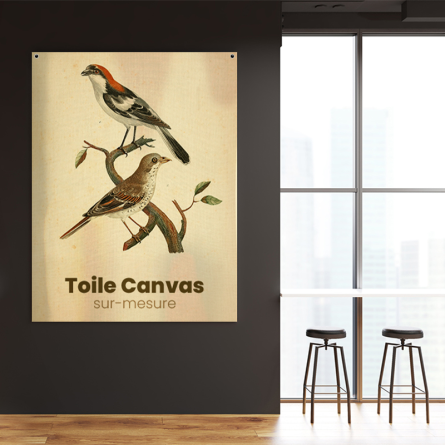 Toile canvas